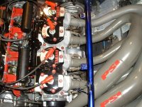 WildMax Edition heads - web edit.jpg