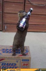 otterlite.jpg