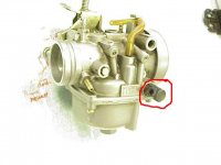 Bravo carb fuel intake paint.JPG