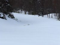 HPIM0111.jpg