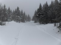 HPIM0113.jpg