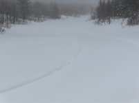 HPIM0117.jpg
