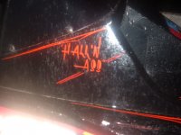 DSCF1250.JPG