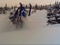 sled pics 022.jpg