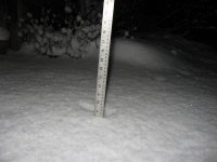 new snow.jpg