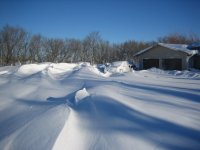 IMG_1382.JPG