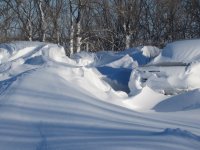 IMG_1384.JPG