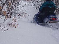 baldwin 2007 on powder .jpg