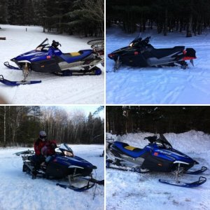 My sled and friends