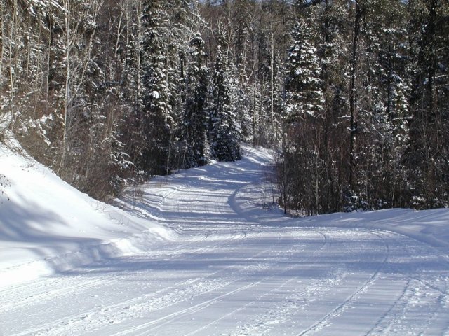 Ottawa state forest UP trail pic 2002